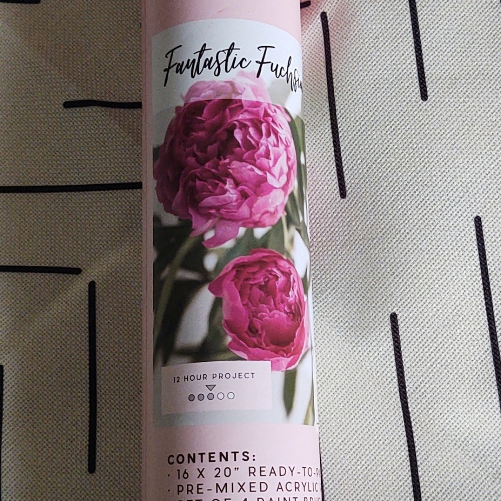 Pink Picasso Beautiful Blooms Paint By Numbers Brand New.